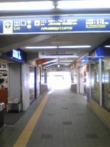 walk1.jpg