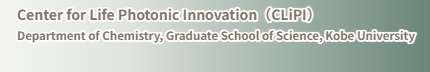 Center for Life Photonic Innovation (CLiPI),
Department of Chemistry,
Graduate School of Science, Kobe University