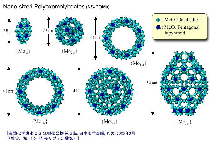 NS-POMs