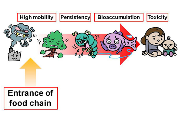 Characteristics of POPs and its bioaccumulation via food chain