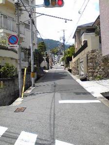 walk5.jpg