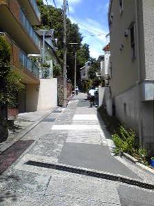 walk6.jpg