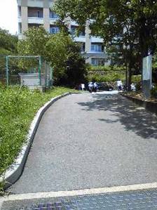 walk7.jpg