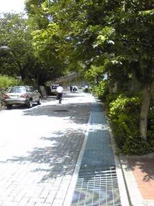 walk8.jpg