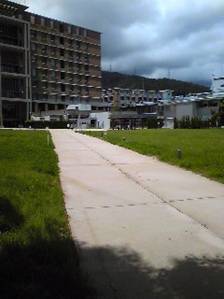 walk10.jpg