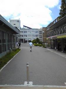 walk11.jpg