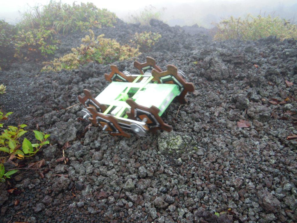 伊豆大島
