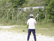 P5280038_thumb.png