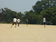 P7020002_thumb.png