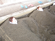 2007_0320_16_thumb.png