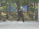 2007_1015_IMG_1182_thumb.png