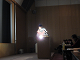 IMG_2194_thumb.png