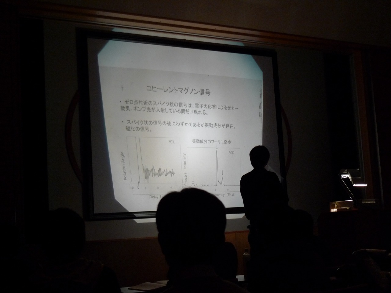 P1000266.jpg