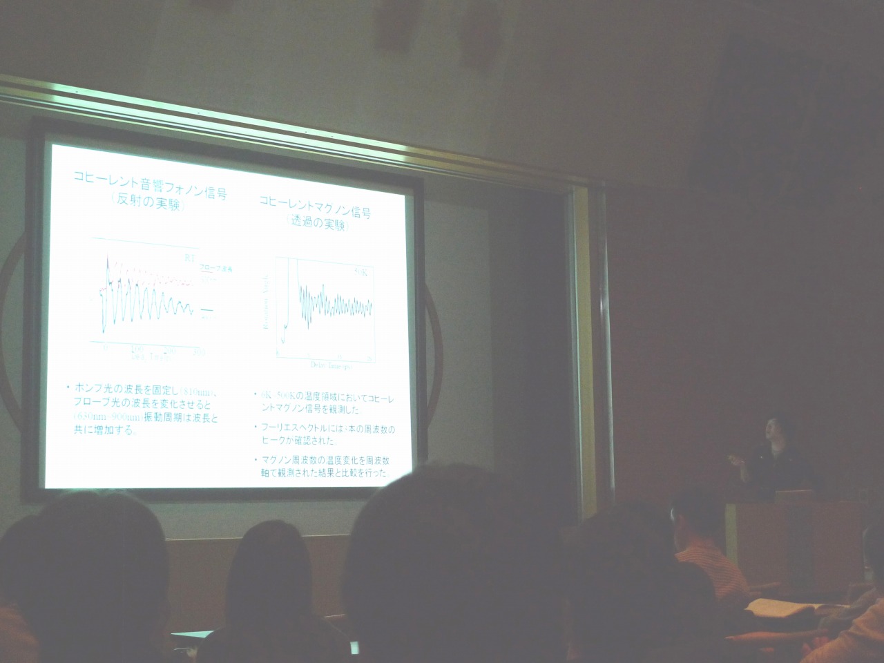 P1000826.jpg