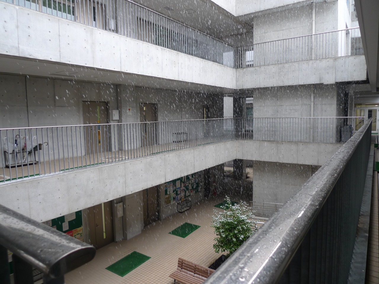 P1000965.jpg