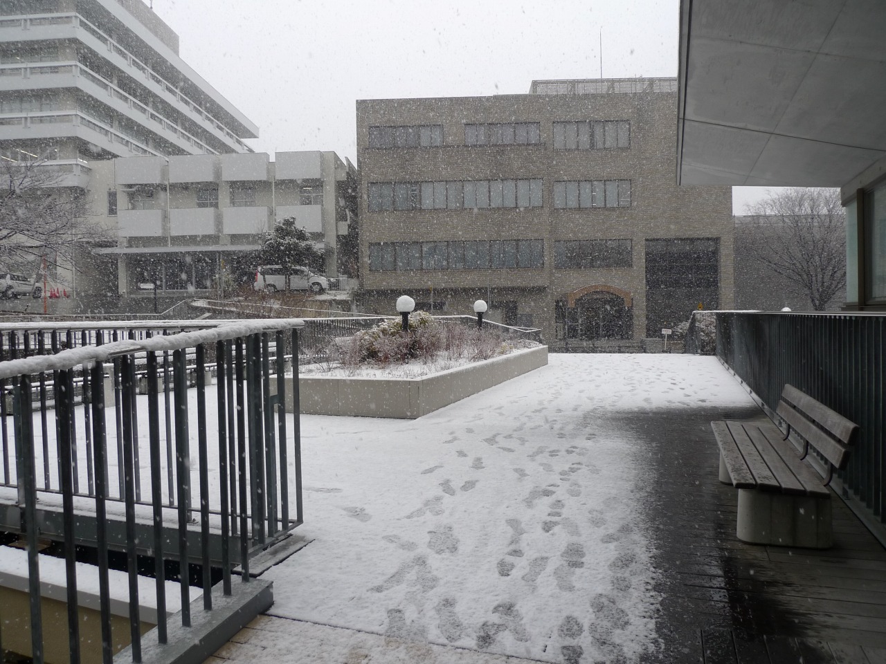 P1000966.jpg