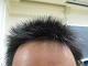 P1000995_thumb.png
