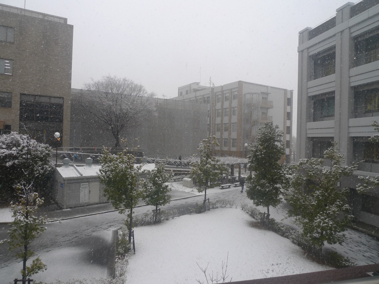 P1000999.jpg