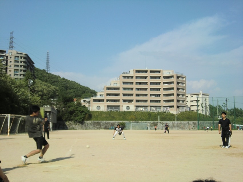409_large.jpg