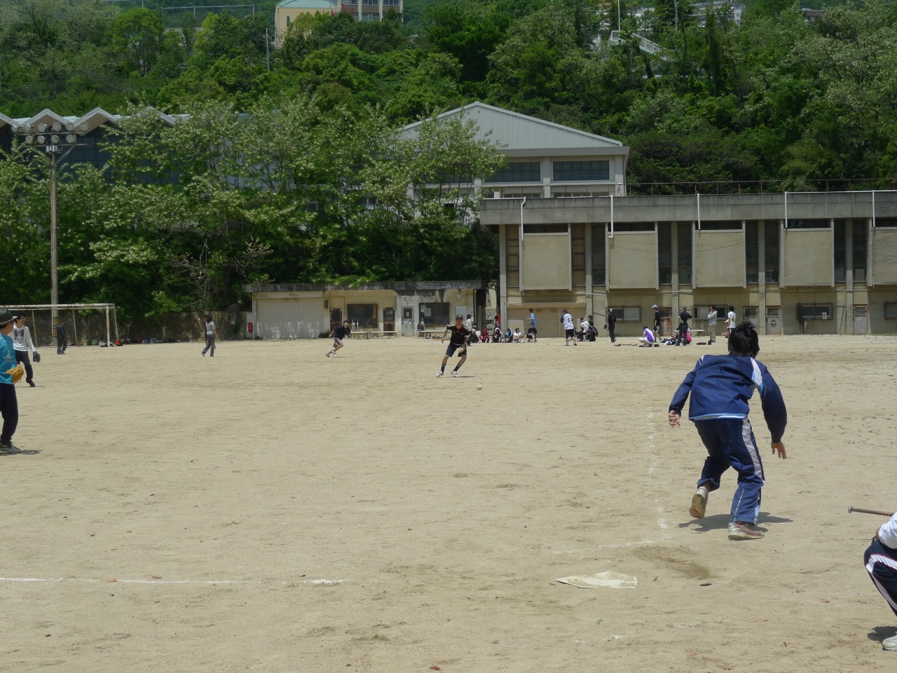 P1010329.jpg