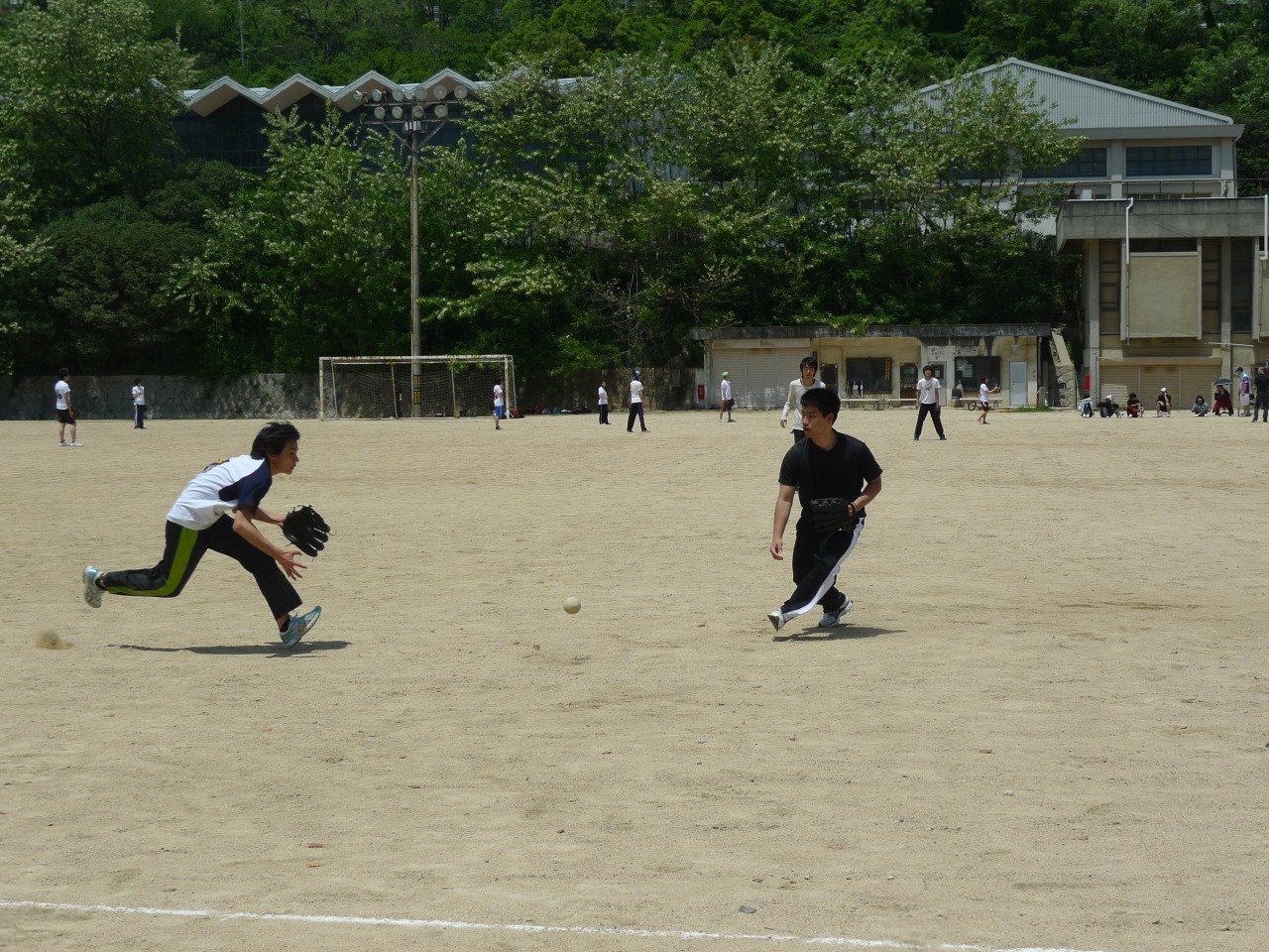P1010344.jpg