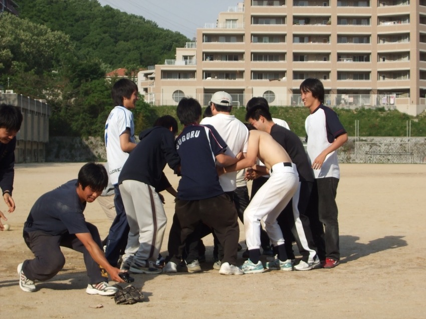 233_large.jpg