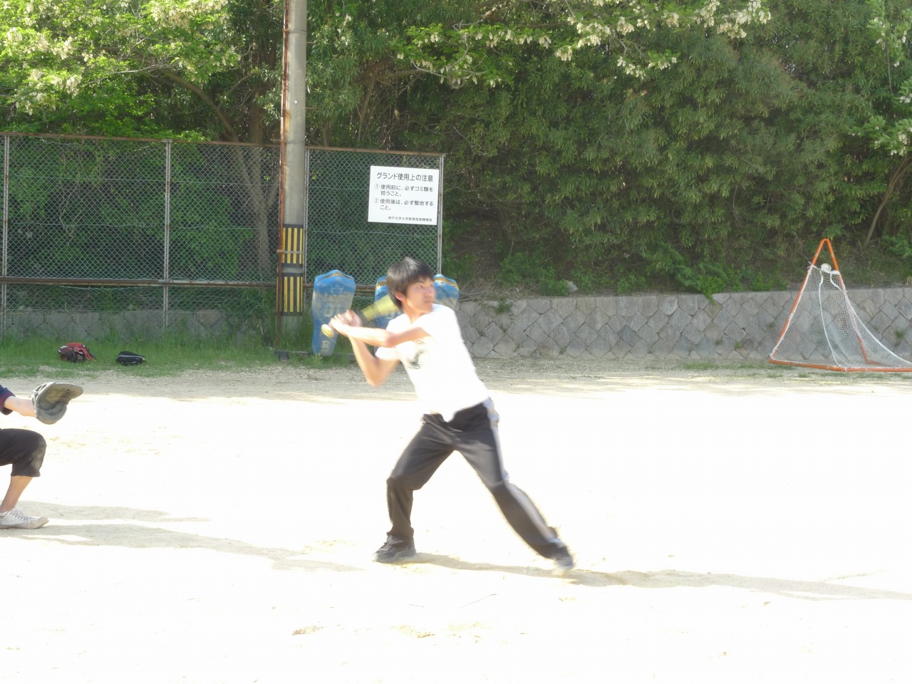 P1010384.jpg