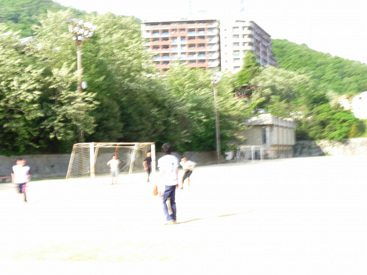 P1010386.jpg
