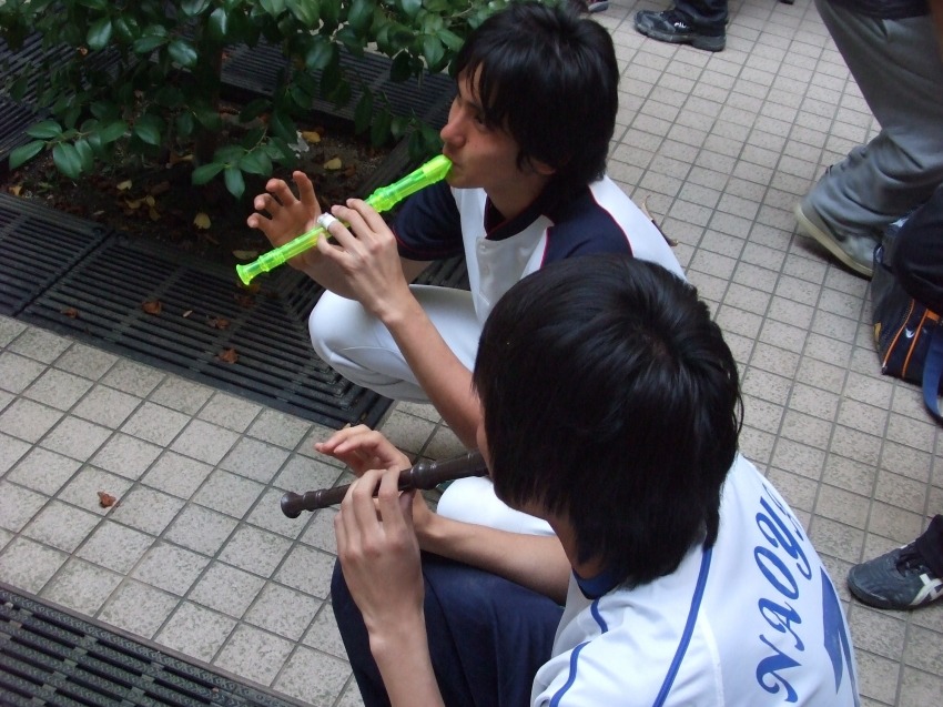 255_large.jpg