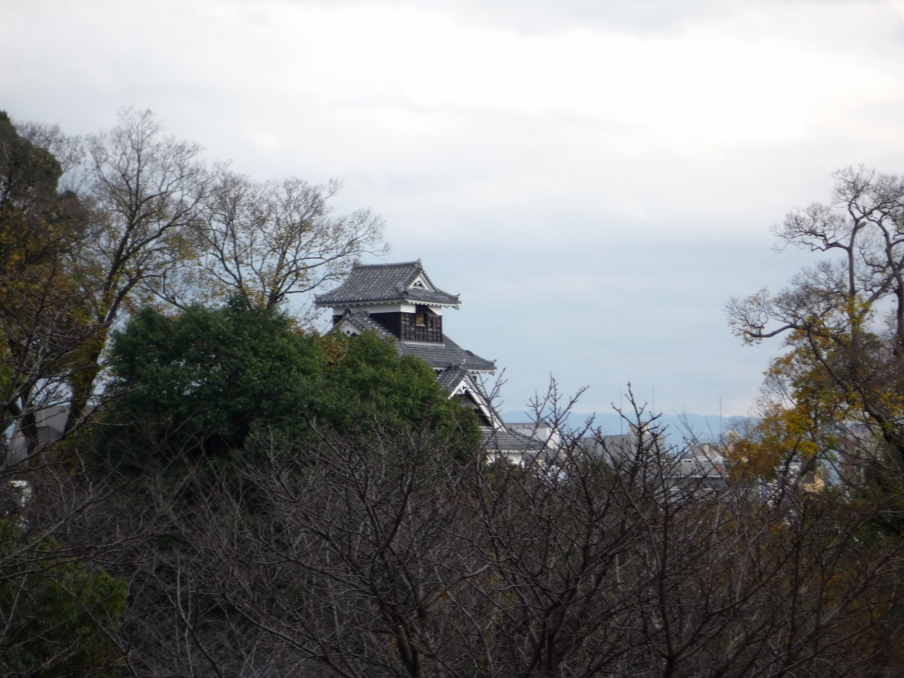 P1010284.jpg