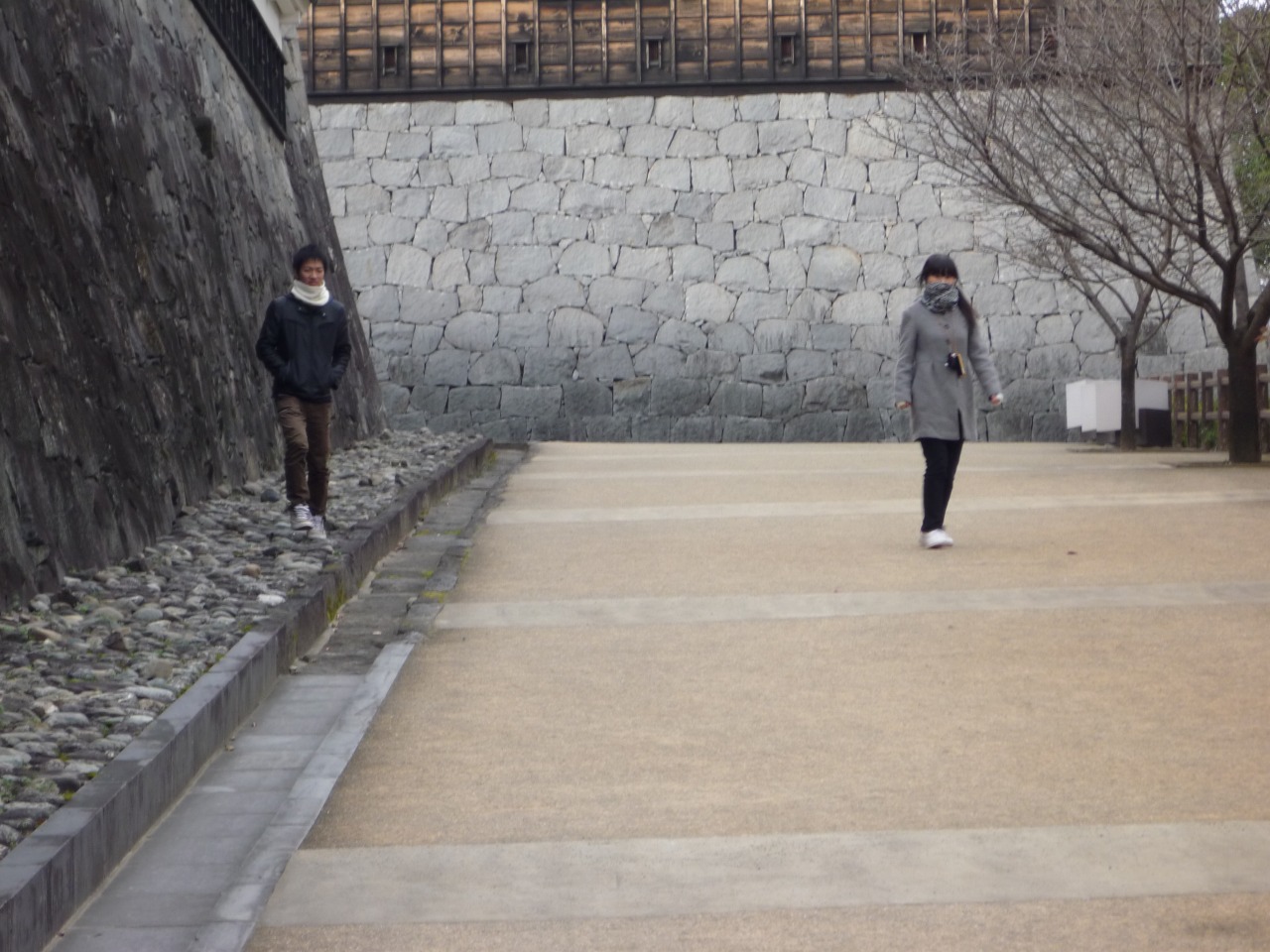 P1010286.jpg