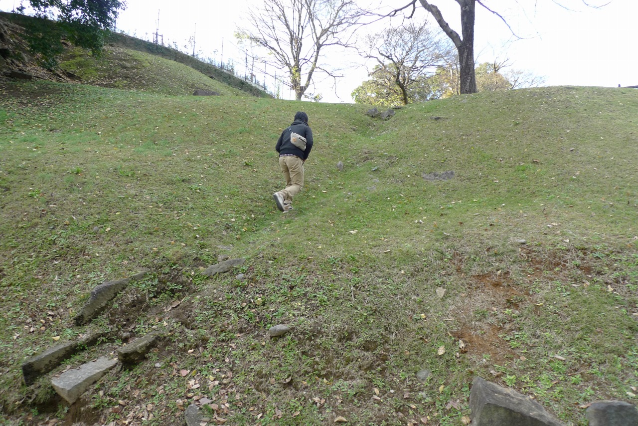 P1010622.jpg