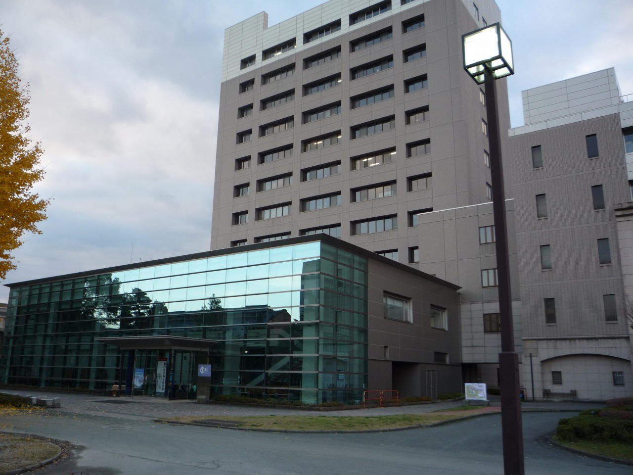 P1010133.jpg
