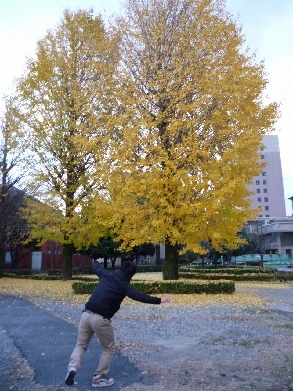 P1010136.jpg