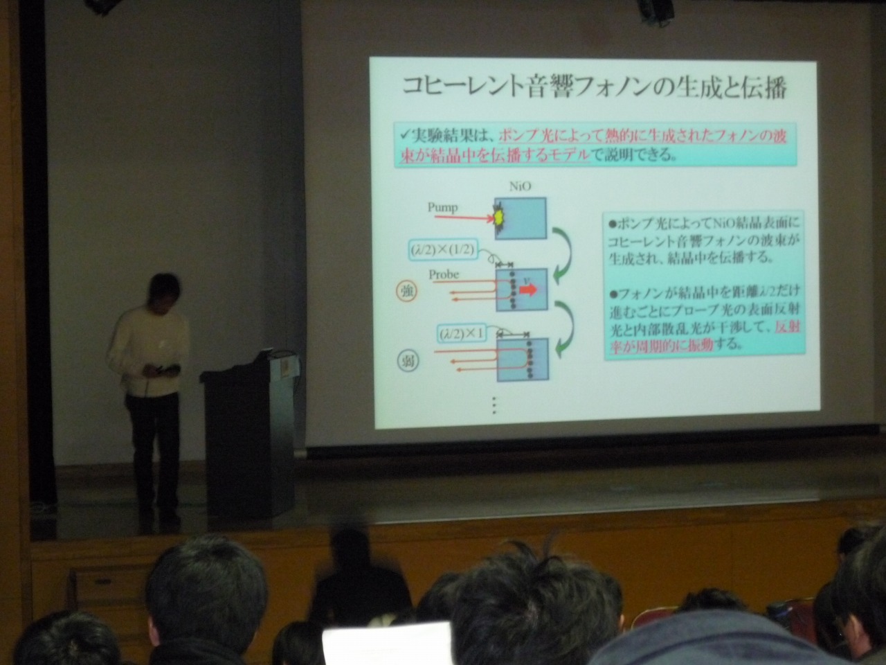 P1010232.jpg