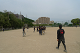 P1020548_thumb.png