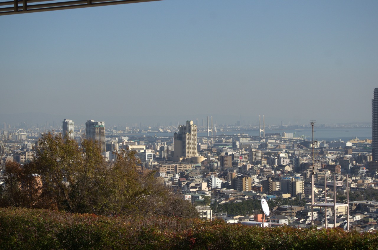 131225-004.jpg