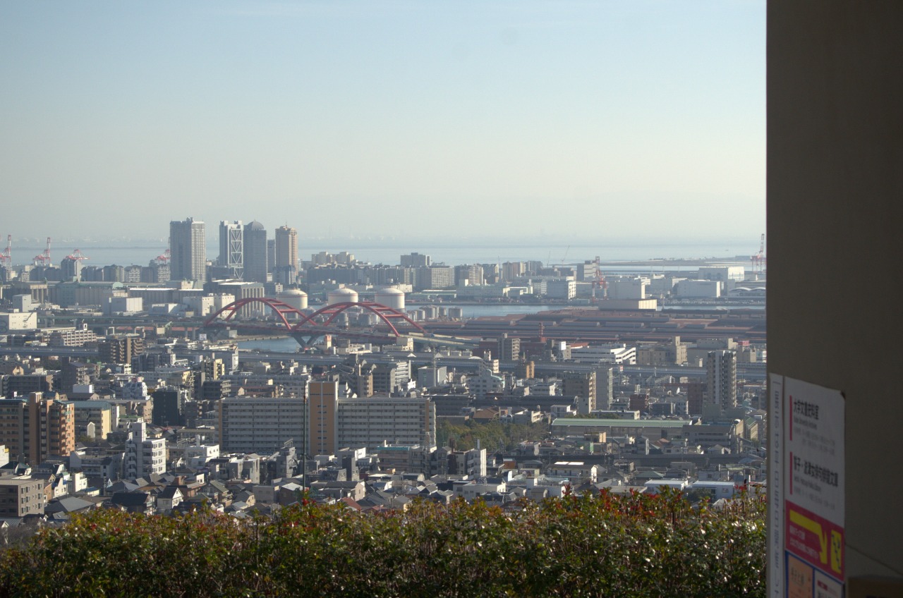 131225-008.jpg