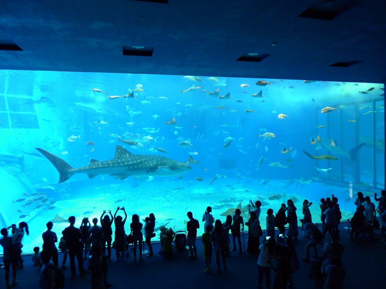 2014_0710_11L.jpg