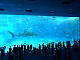 2014_0710_11L_thumb.png