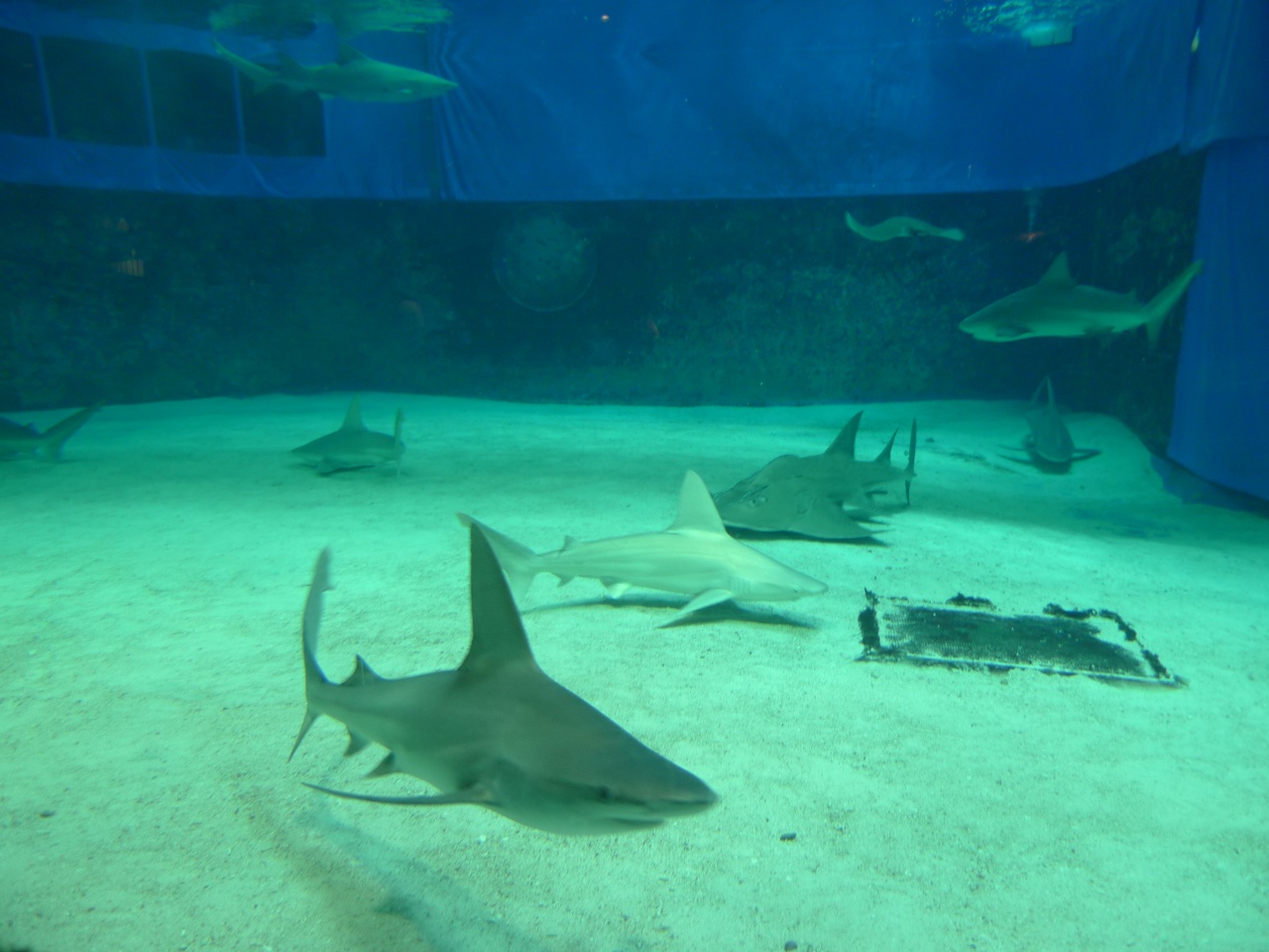 2014_0710_12L.jpg