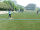 P1040607_thumb.png