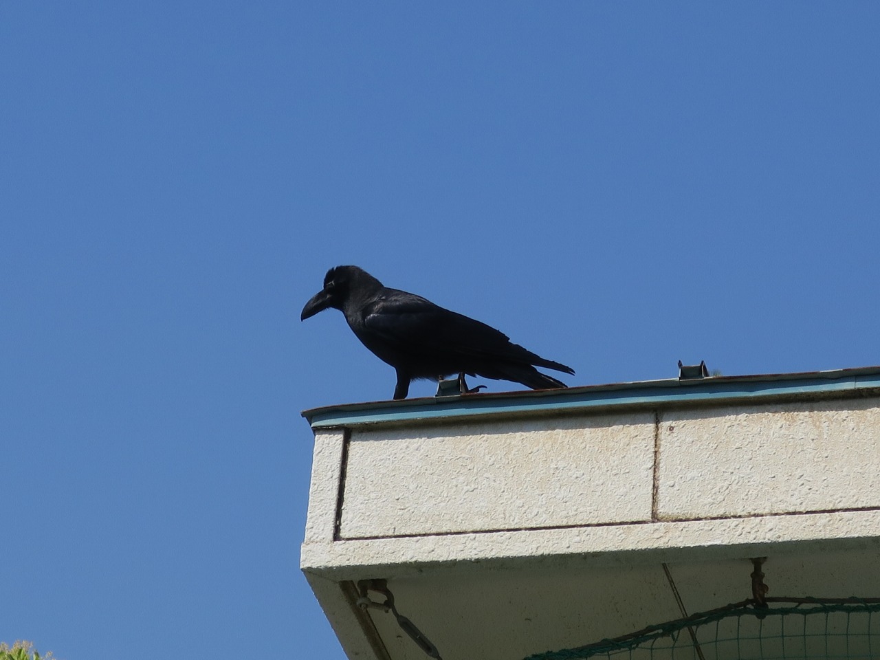 IMG_0601.jpg