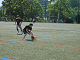IMG_2016_thumb.png