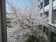 IMG_2827_thumb.png