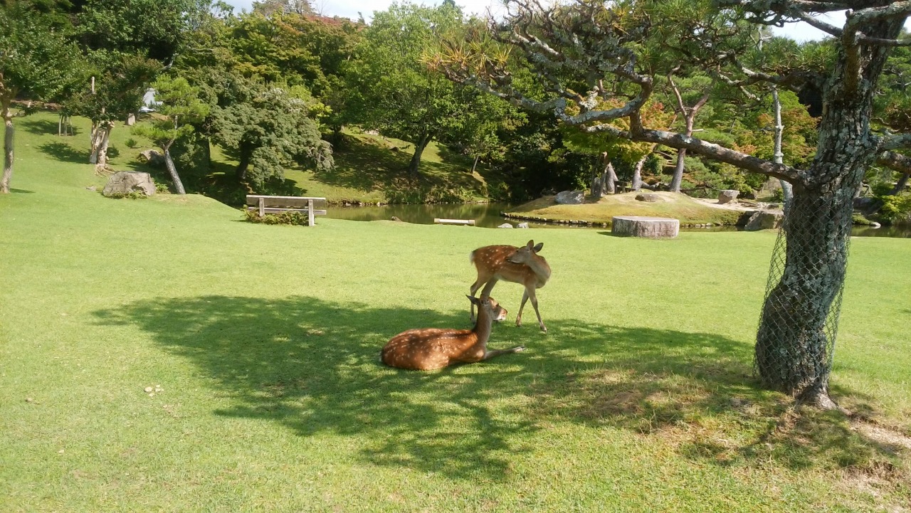 DSC_0154.jpg