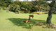 DSC_0154_thumb.png