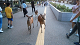 DSC_0161_thumb.png