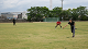 IMG_4386_thumb.png