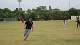 IMG_4425_thumb.png